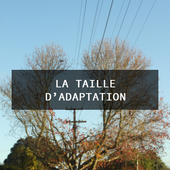 taille d'adaptation
